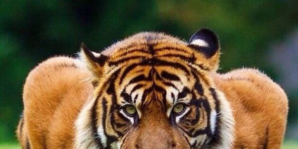 Günün en çok beğenilen ve paylaşılan fotoğraları
