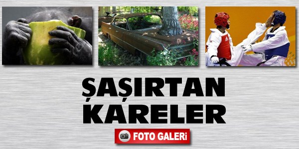 İlginç fotoğraflar