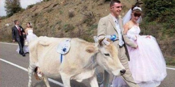 En ilginç düğün fotoğrafları