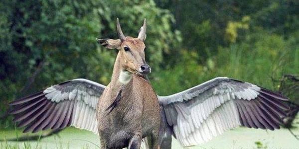 Bu fotoğraflara 2 kere bakmanız gerek