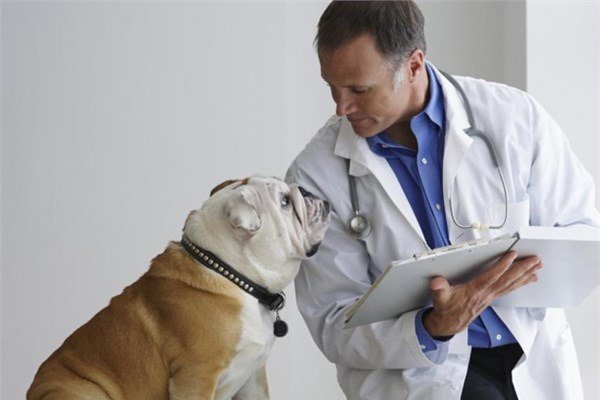 <br><b>21. Veteriner</b></br>  Yıllık kazancı 70 bin 800 dolar