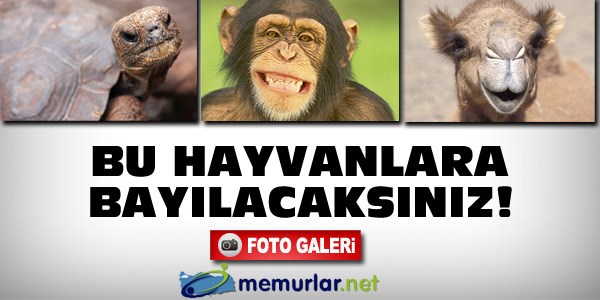 Gülme garantili