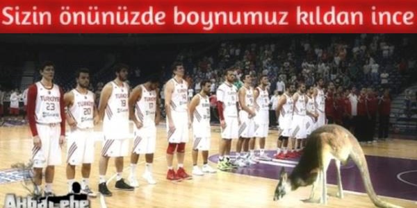 Emir Preldzic caps'leri