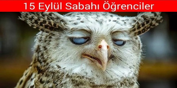 Güldüren 'okullar açıldı' caps'leri