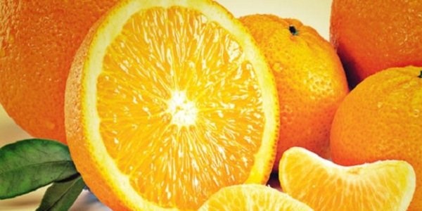 Bağışıklık sistemini güçlendiren besinler