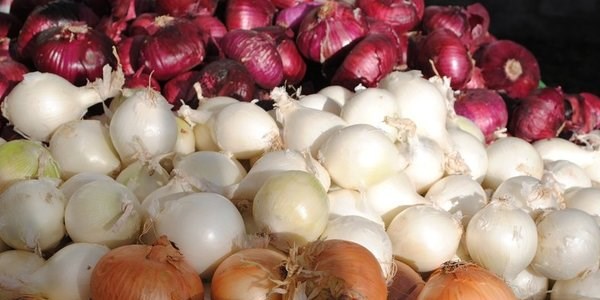Kansere karşı soğan yiyerek korunun!