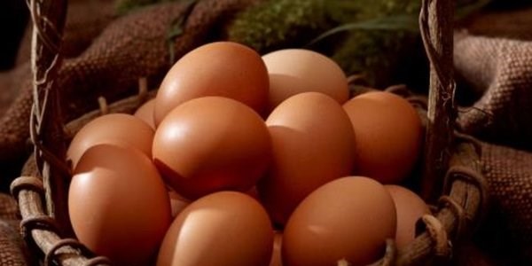 Yumurta alırken bunlara dikkat edin