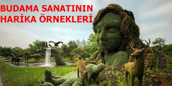 Budama sanatının harika örnekleri