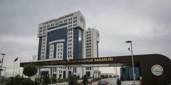Son 5 yılda yapılan hizmet binaları