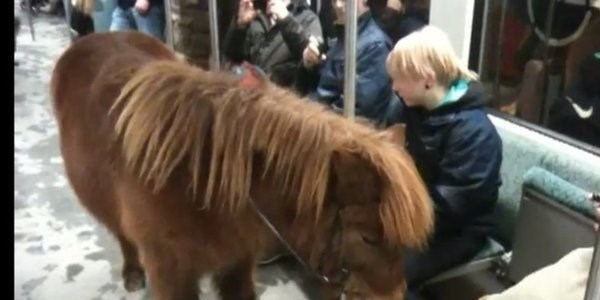 Metroda şaşırtan görüntü