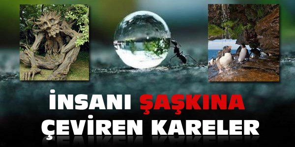 İnsanı şaşkına çeviren kareler!