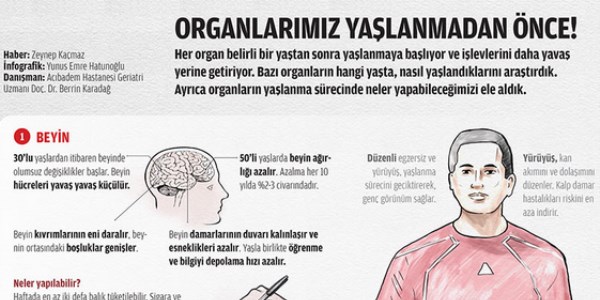Hangi organ hangi yaşta yaşlanıyor?