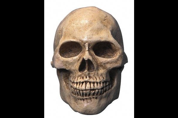 Ne yazık ki, kendi yaratılışını unutanlar, "Çürümüş kemikleri kim diriltecek" diye hayretle sorarlar, öldükten sonra yeniden hayat bulacaklarına bir türlü inanmazlar. İşte onlar, ilk önce yaratanın yeniden dirilttiğini göreceklerdir.