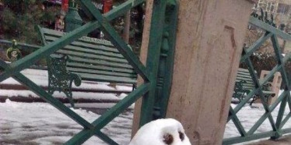 Türkiye'den ilginç kar manzaraları