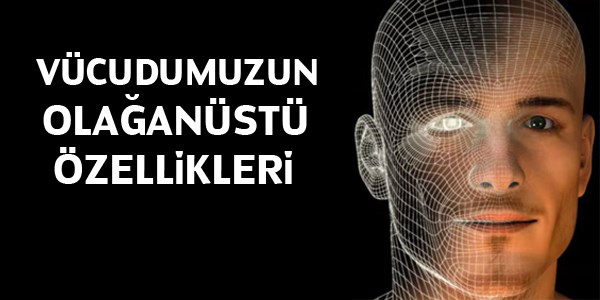 Her insanda olan 16 şaşırtıcı özellik