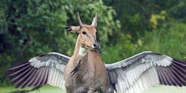 En az iki kez bakmanız gereken fotoğraflar