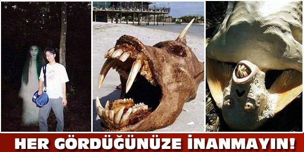 Gerçekten 'inanılmaz!'