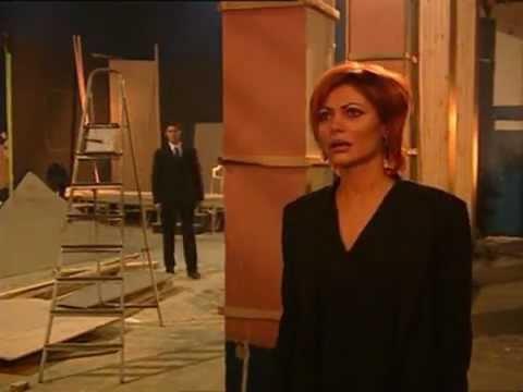 Derya Çakır (Seray Sever)