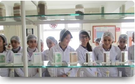 Laboratuvar Hizmetleri - 63,26855