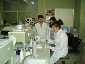 Sağlık/Tıbbi Laboratuvar - 64,20197