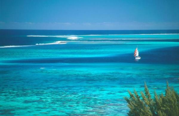 Turkuaz<br>      Yeşile çalan açık mavi renktir. Turkuaz kelimesi, Türkiye`nin Akdeniz sahillerinin renginden esinlenilerek türetilmiştir. Fransızca Türk kelimesinin söylenişinden türemiştir. Turkuaz ya da "Türk mavisi", camgöbeği renginin hafifçe mavi tonudur. Rengin isminin turkuaz taşından (firuze) geldiği de söylenmektedir.