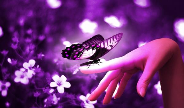 Mor<br>      Mor kelimesinin kökeni için iki ayrı teori var. Birincisi, Farsça`da "demir pası" anlamına gelen "mur" sözcüğünden dilimize geçtiği, ikincisi ise Ermenice`de "böğürtlen veya karadut" anlamına gelen morm kelimesinden türediği.