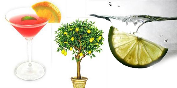 Limonun faydaları
