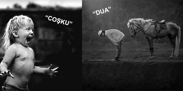 Sony Dünya Fotoğraf Ödülleri'nde finalist fotoğraflar