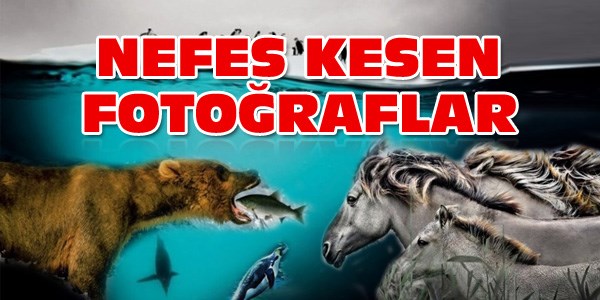 Nefes kesen fotoğraflar