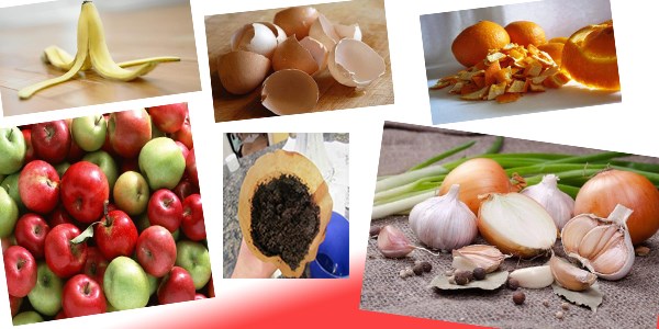 Çöpe attıklarınız bakın ne işe yarıyor