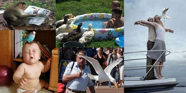 Paylaşım rekorları kıran kareler