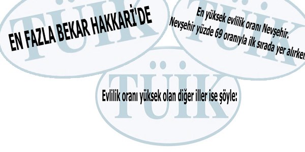 Türkiye'nin 'medeni durum' haritası