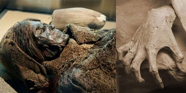 Bilim dünyasını şoke eden 300 yıllık mumya