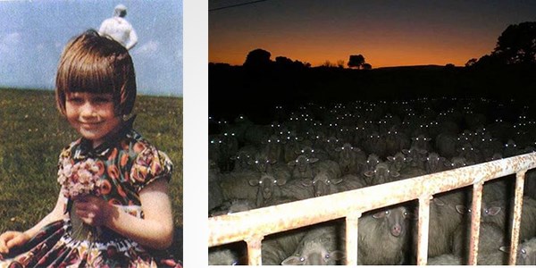 Şaşırtan fotoğraflar