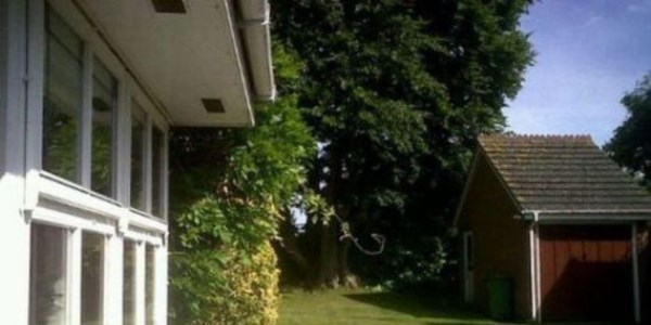 Fotoğraftaki kediyi bulun!