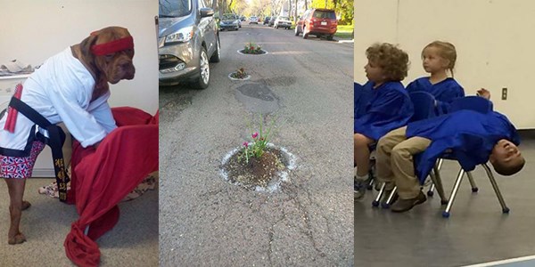 Unutulmayacak harika fotoğrafar
