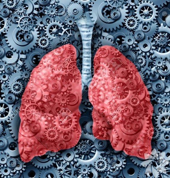 2. Yağ, akciğerlerin düzgün çalışmasını sağlar<br>  Akciğerler neredeyse tamamen doymuş yağdan oluşan bir tabaka ile kaplanmıştır. Yeterince doymuş yağ olmadan tehlikeye girebilirler.