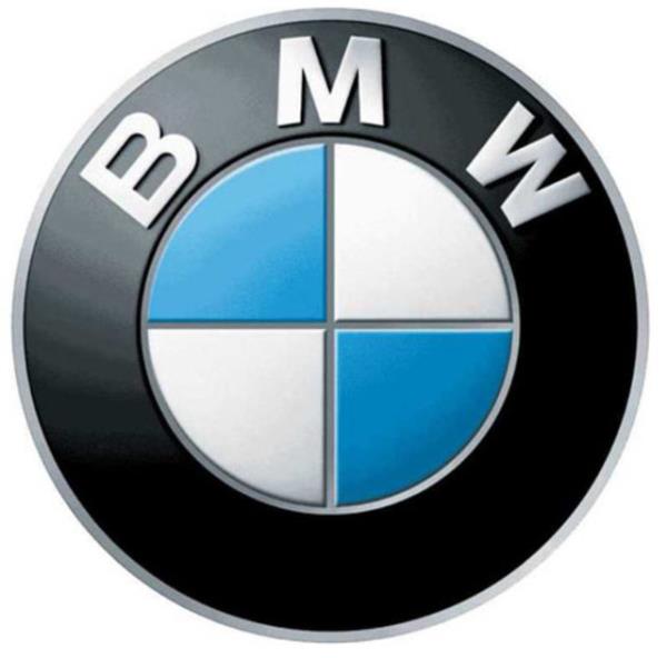 BMW  99 adet problem