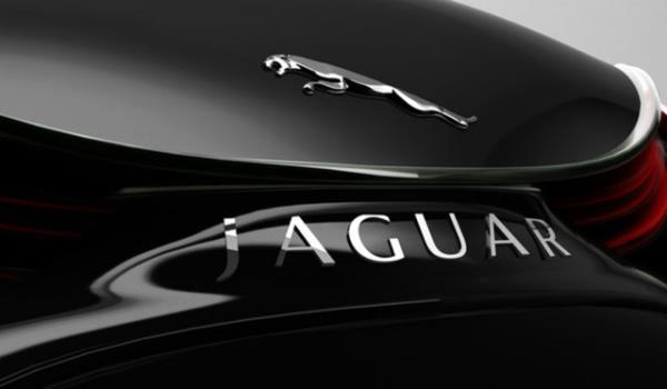 Jaguar  93 adet problem