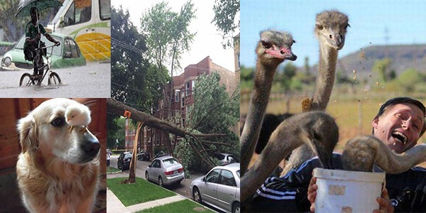 Günün en ilginç 52 fotoğrafı