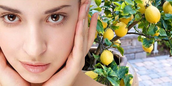 Limonun inanılmaz faydaları