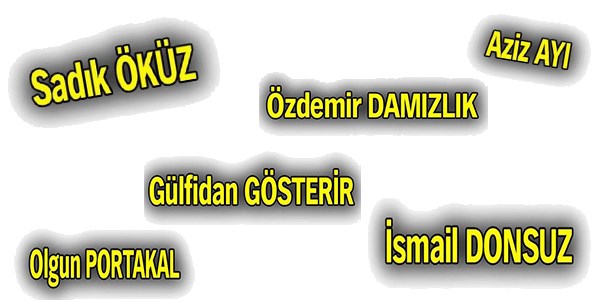 En ilginç soyadları