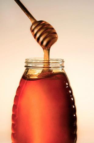 BAL: Peygamber Efendimiz buyuruyor: “– Üç şeyde şifa vardır: Bal şerbeti içmekte, kan aldırmakta ve dağlama yaptırmakta, fakat ben dağlamayı sevmem. Bal, bütün hastalıklara şifâdır. Çünkü yetmiş peygamber onun şifası ve bereketine dua etmişlerdir.”