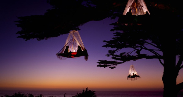 13) Tree camping in Germany.