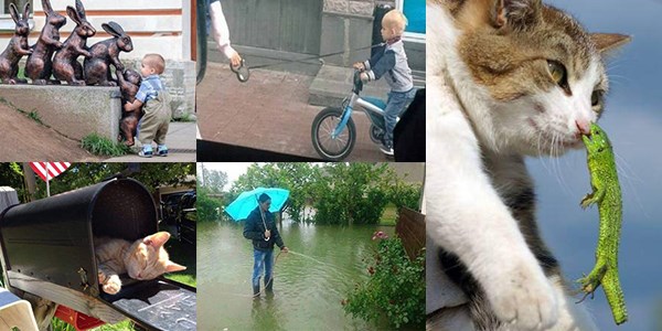 En çok paylaşılan fotoğraflar