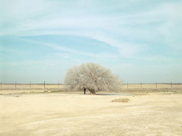 Gzel sanatlar dalndaki serisiyle Fransz Thierry Bout yarmada nclk ald. Fransa'nn kalabalndan kaan Bout, "Buradaym" isimli almasnda rdn'n ferah manzaralarna alyor. Isszlktaki yalnzl anlatan fotoraflara dikkatli bakarsanz, bulunmay bekleyen birini grebilirsiniz.