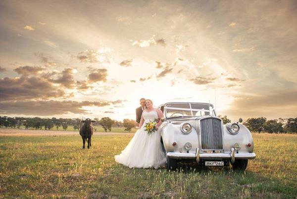 Dn gn hem ok zel hem de unutulmazdr. Fakat bu dn fotoraflar, daha nce grdklerimize pek benzemiyor.