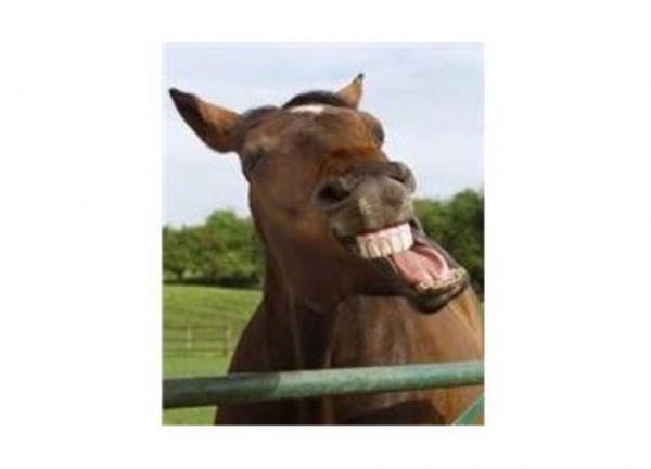 Tenyalar barsakta yaar, barmasakta.