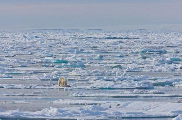 klim deiiklii sebebiyle getiimiz yl Kuzey Kutbu'ndaki buzullar, kayt tutulmaya balanan 1979'dan beri en dk seviyeye ulamt.