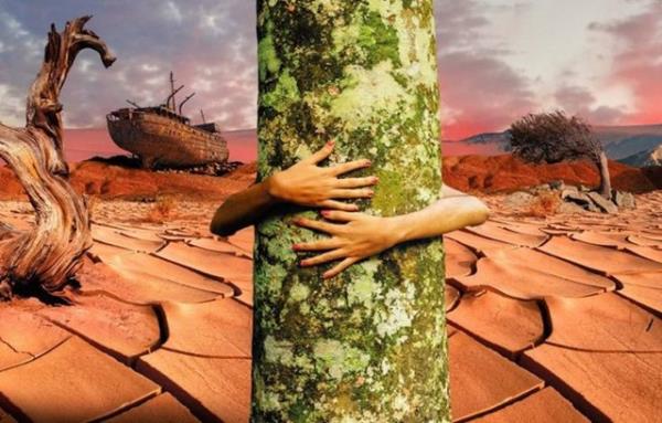 ki farkl veri inceleme yntemi ve kayt sistemi var.